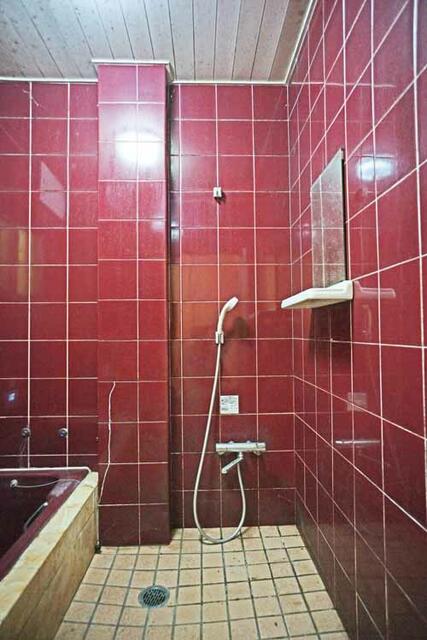 detached 徳島県三好市山城町大川持