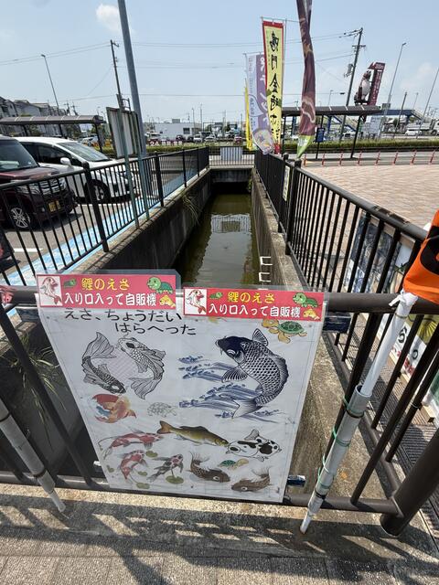 とくとくターミナル　鯉や亀に餌やりできます。 (55m)