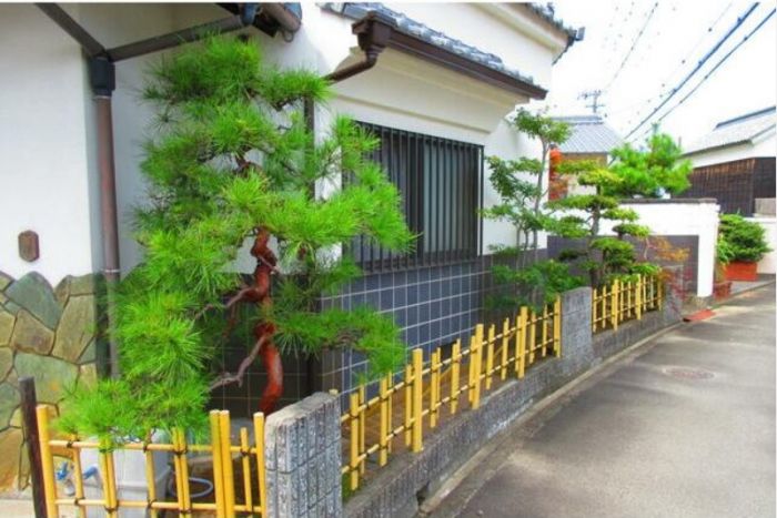 現地写真（前面道路含む）