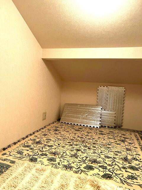 収納／屋根裏