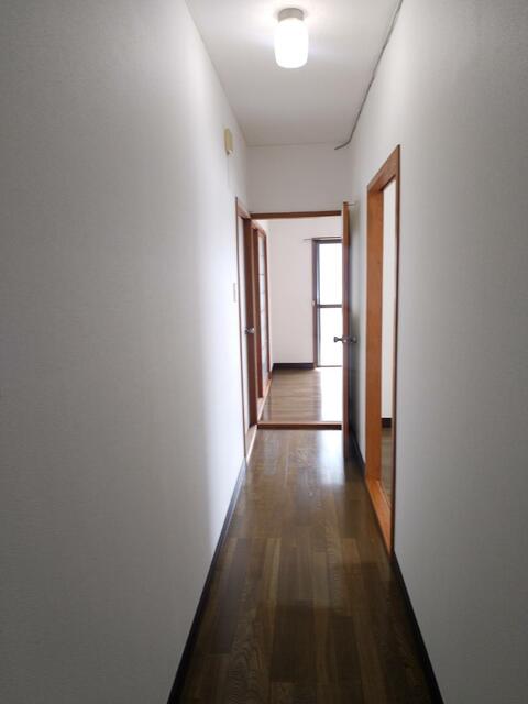 壁紙は全面的にリフォーム済みです！