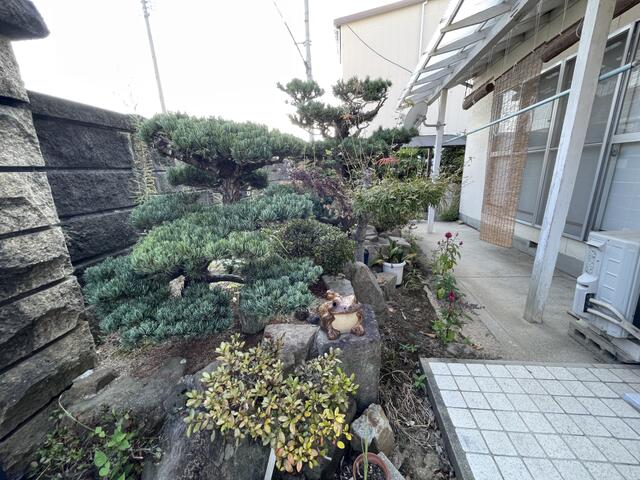 庭／撮影日2025-09-09