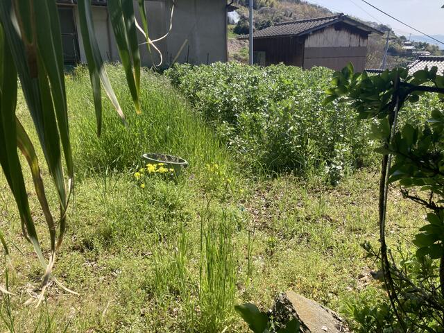 detached 愛媛県西宇和郡伊方町二見 地図を見る