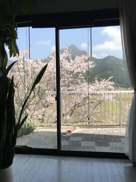 detached 愛媛県東温市上林