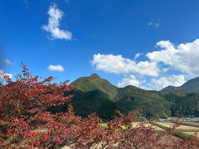 detached 愛媛県東温市上林
