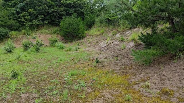 detached 愛媛県宇和島市三間町小沢川 地図を見る