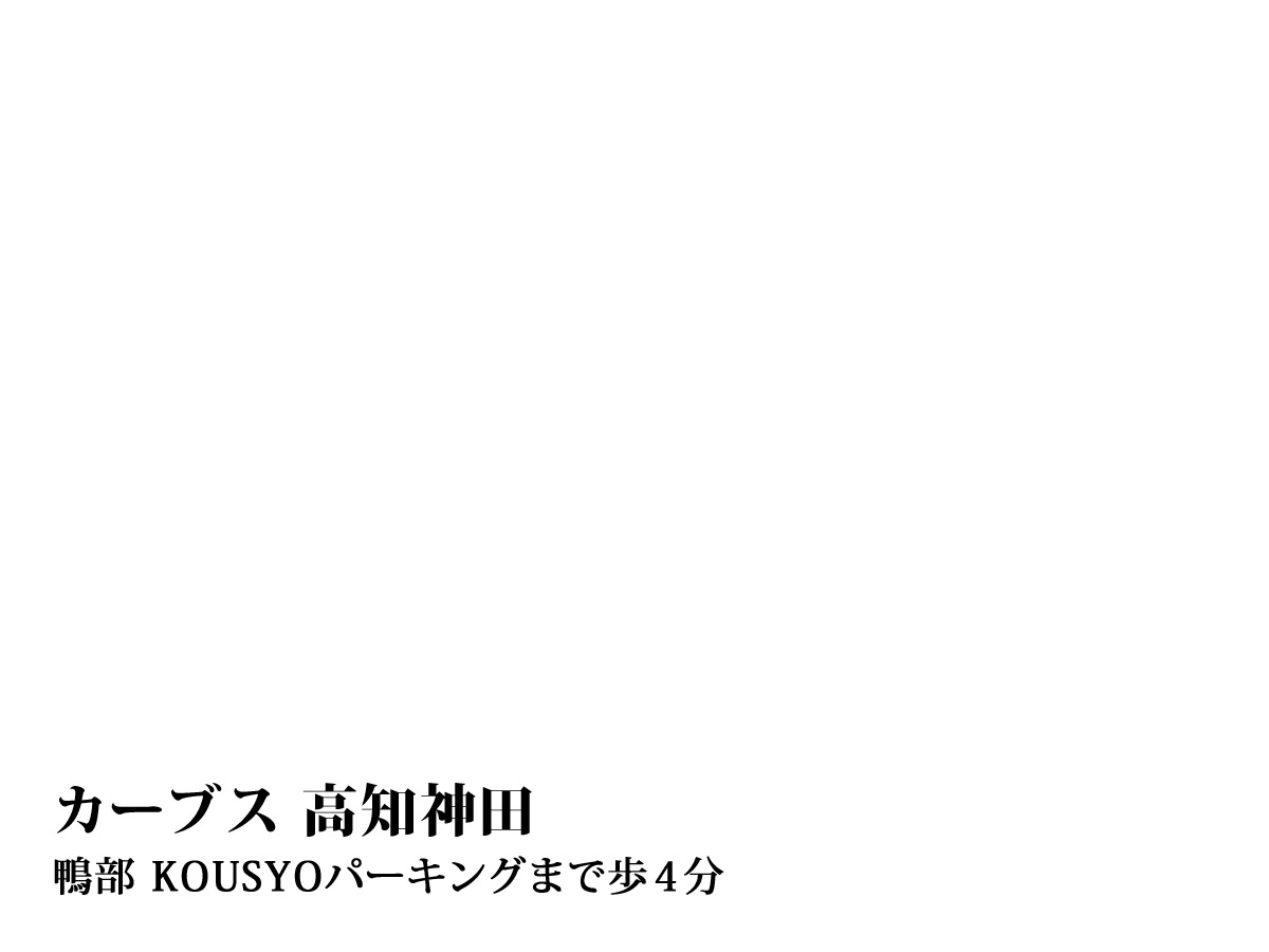 カーブス　高知神田 (260m)