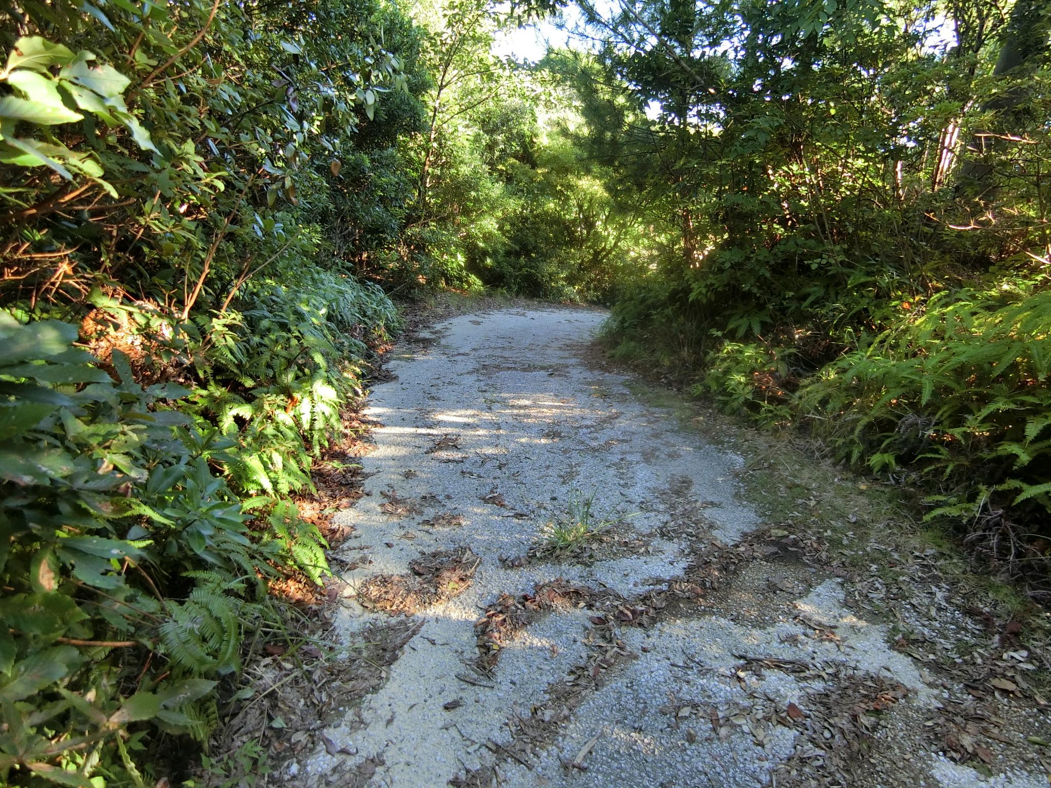 detached 高知県安芸郡芸西村西分 地図を見る