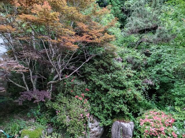 detached 福岡県築上郡築上町大字小原 地図を見る