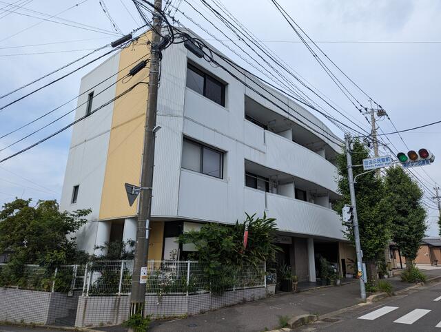 現地（外観）
