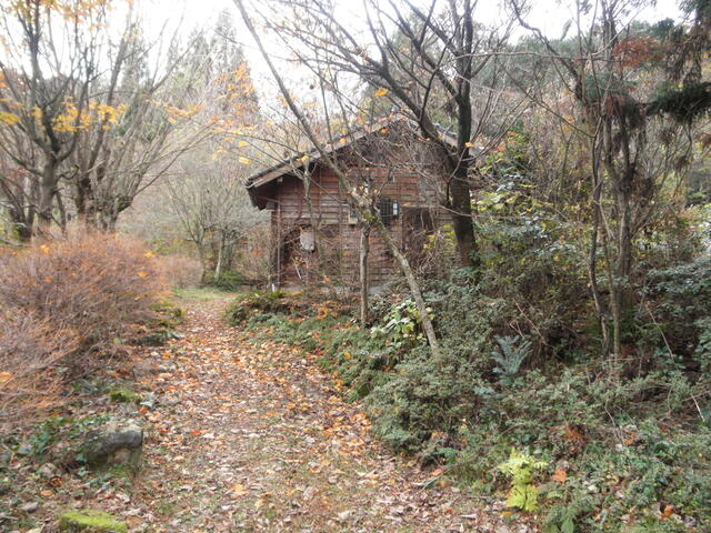detached 佐賀県藤津郡太良町大字多良 地図を見る