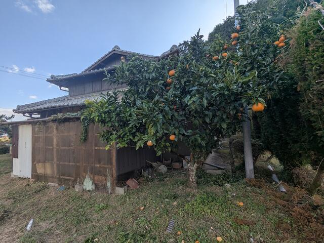 現地（外観）／撮影日2025-11-28