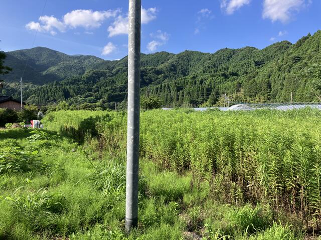 detached 佐賀県唐津市厳木町厳木