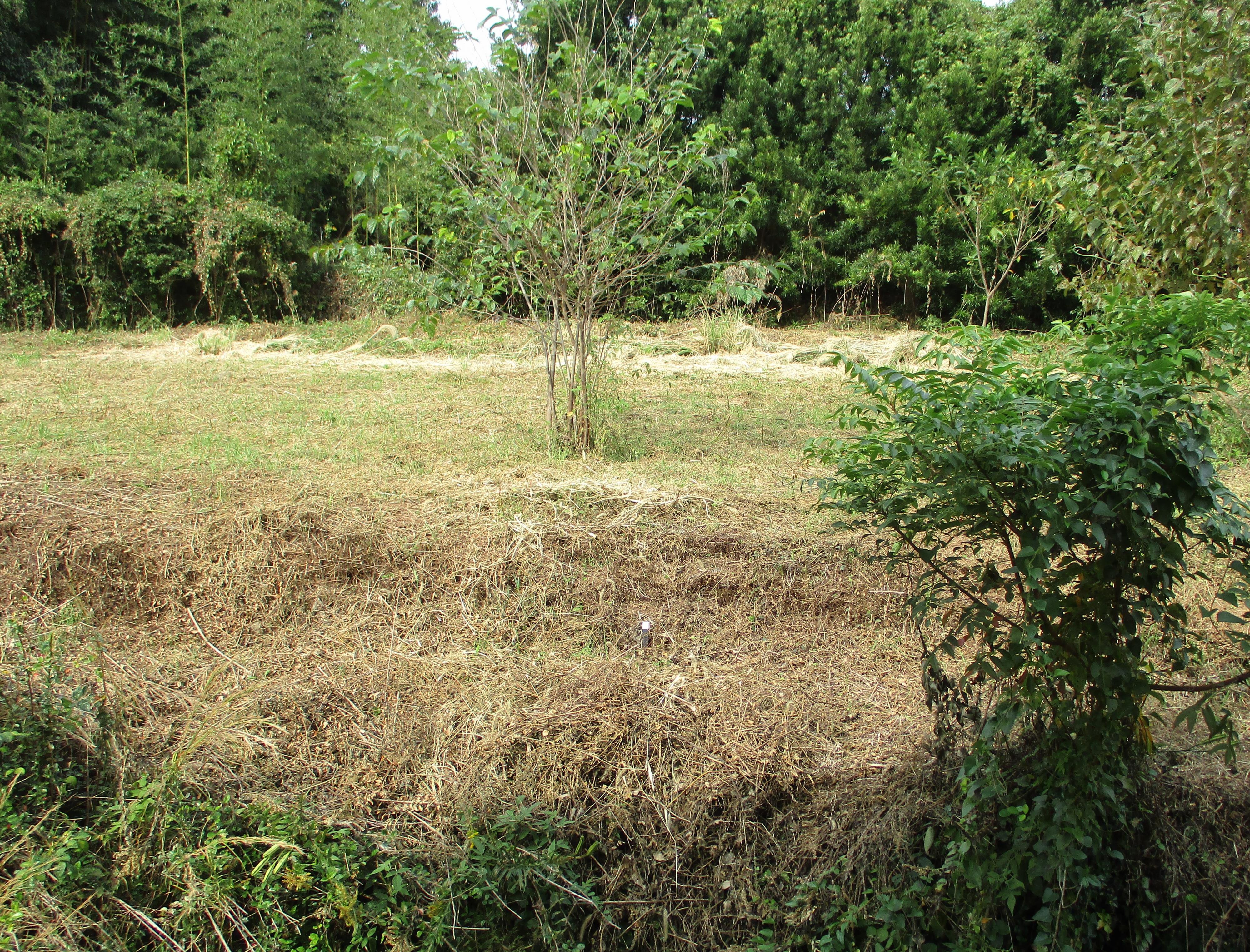 detached 長崎県西海市西海町横瀬郷 地図を見る