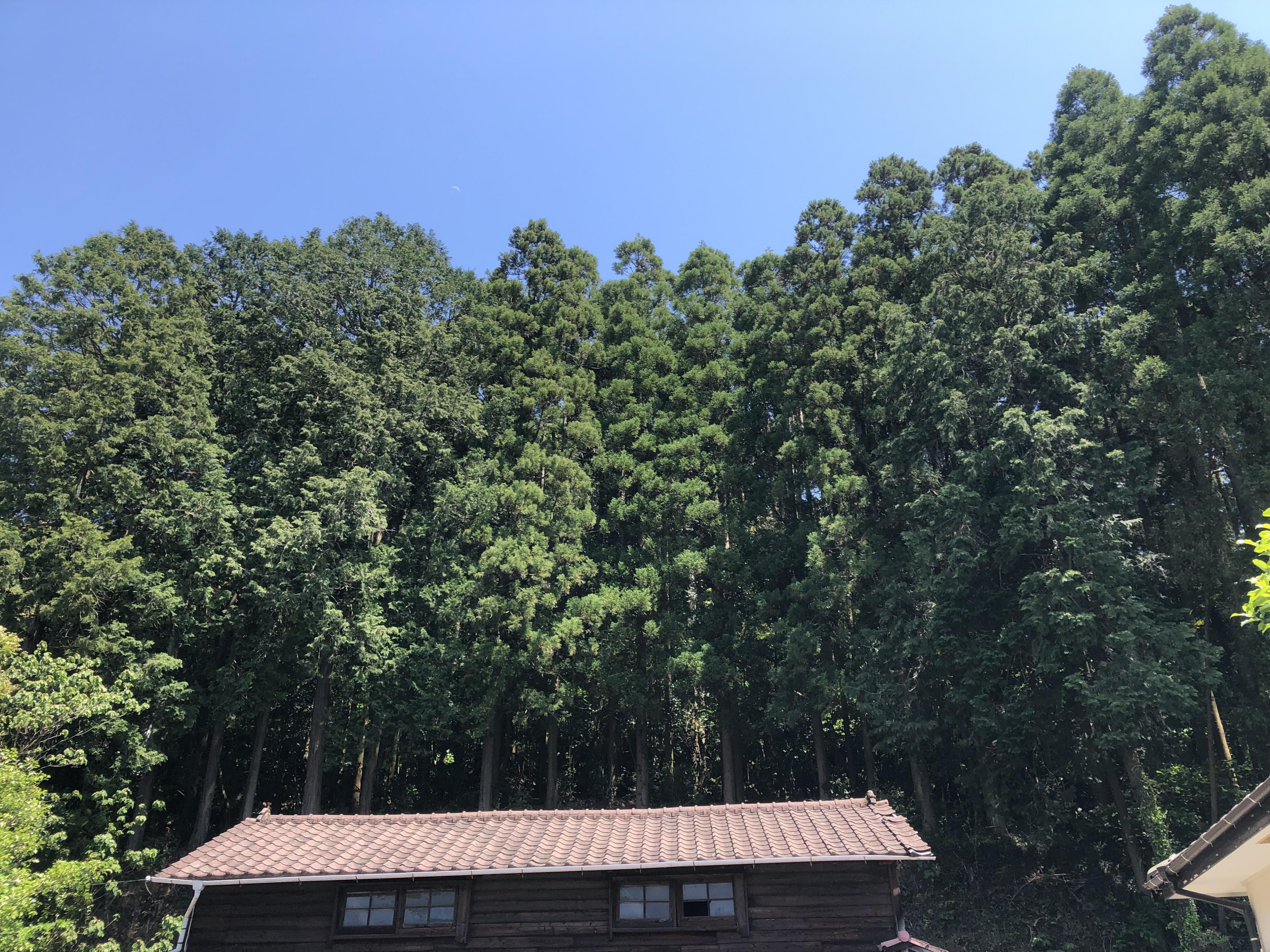detached 長崎県諫早市本野町 地図を見る
