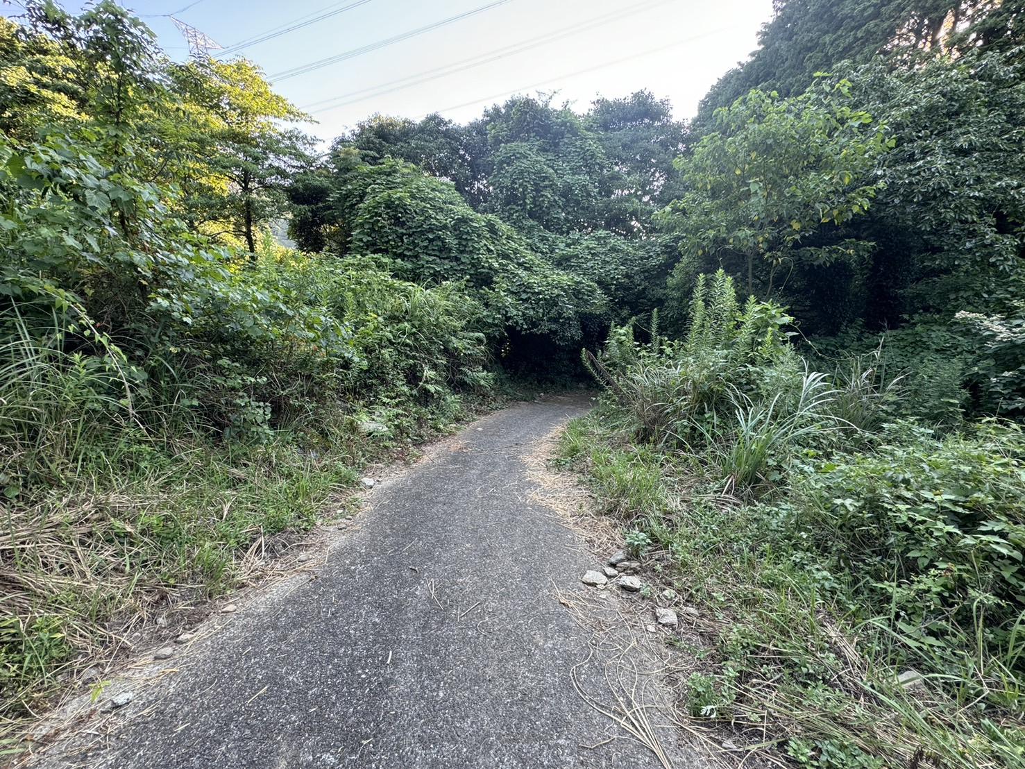 detached 長崎県西海市大瀬戸町雪浦河通郷 地図を見る