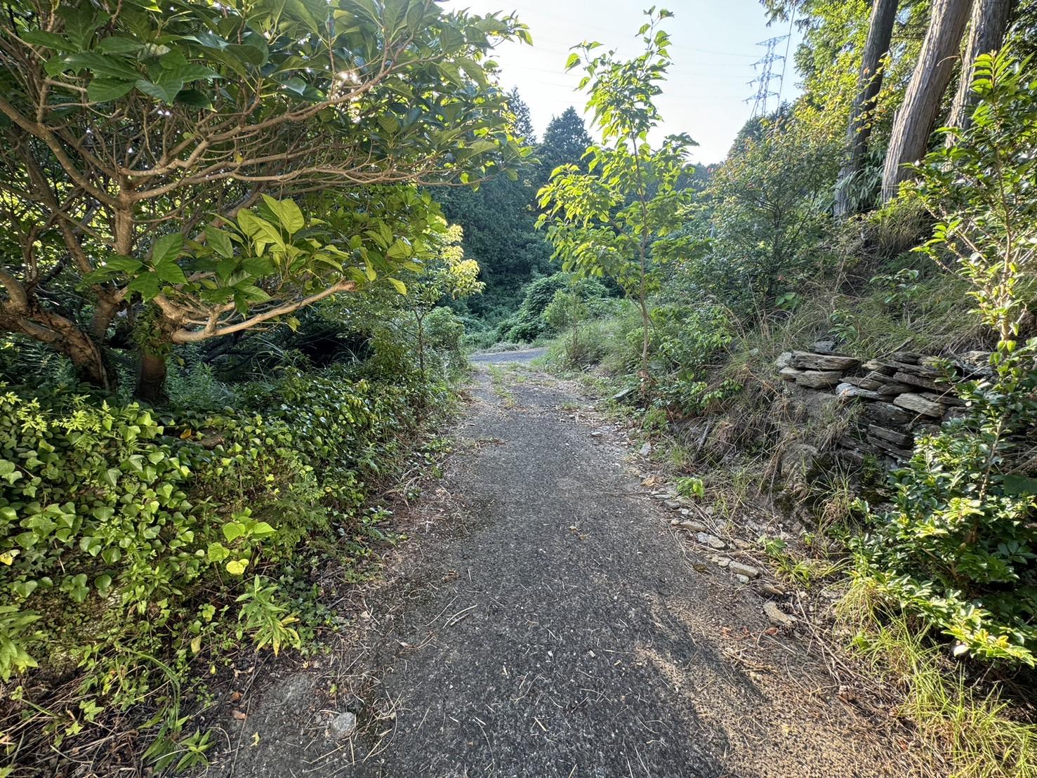 detached 長崎県西海市大瀬戸町雪浦河通郷 地図を見る