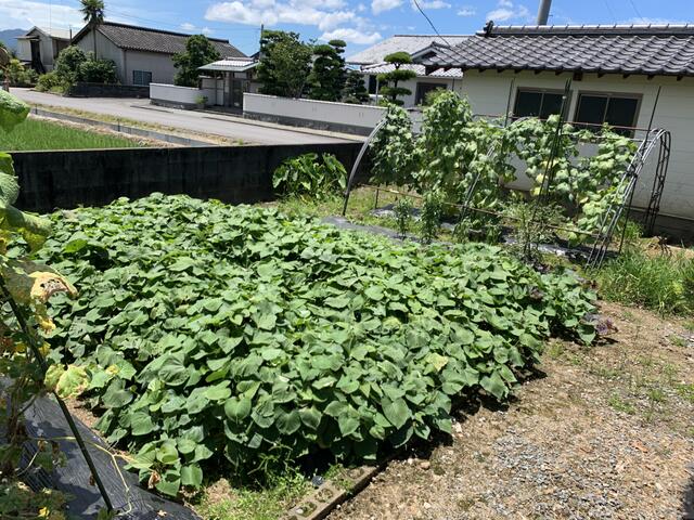 宇城市松橋町南豊崎|中古一戸建の写真8