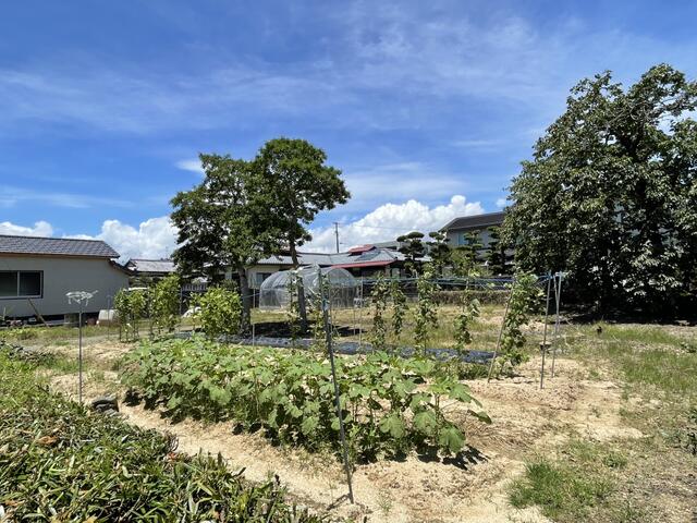 宇城市松橋町竹崎｜売地の写真5