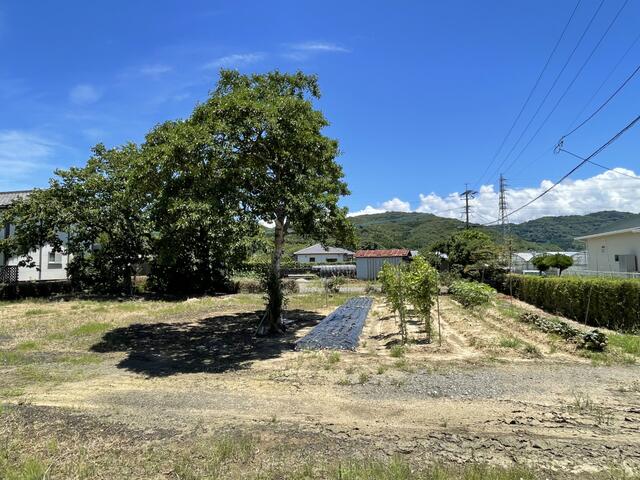 宇城市松橋町竹崎｜売地の写真4