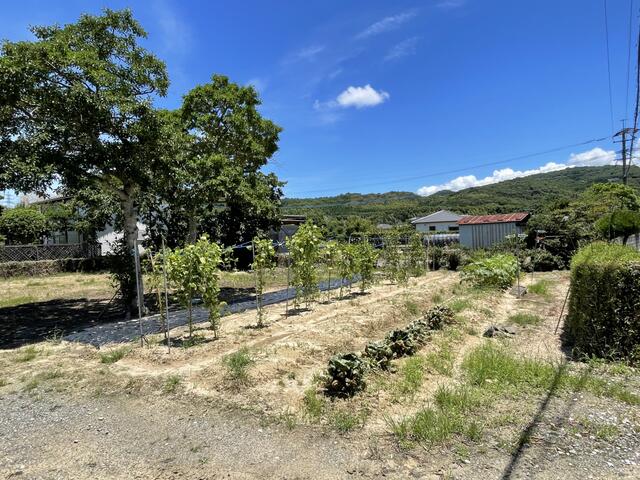 宇城市松橋町竹崎｜売地の写真3
