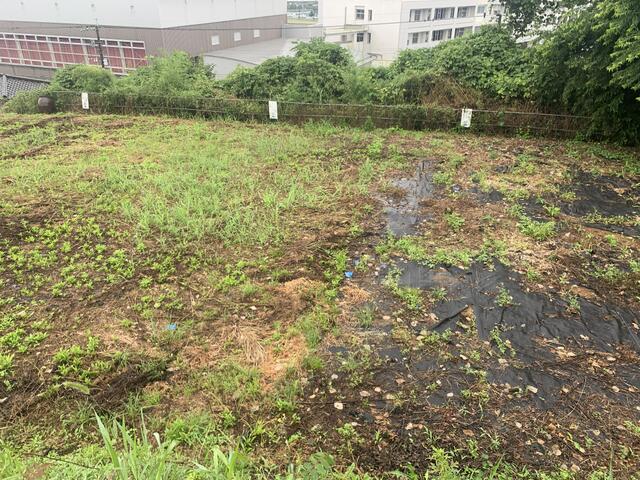 宇城市不知火町高良｜売地の写真5