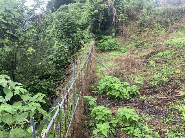 宇城市不知火町高良｜売地の写真9
