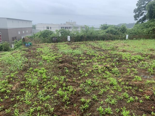 宇城市不知火町高良｜売地の写真10
