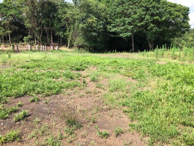 菊池郡大津町大字高尾野｜売地の写真3