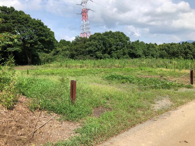 菊池郡大津町大字高尾野の売地