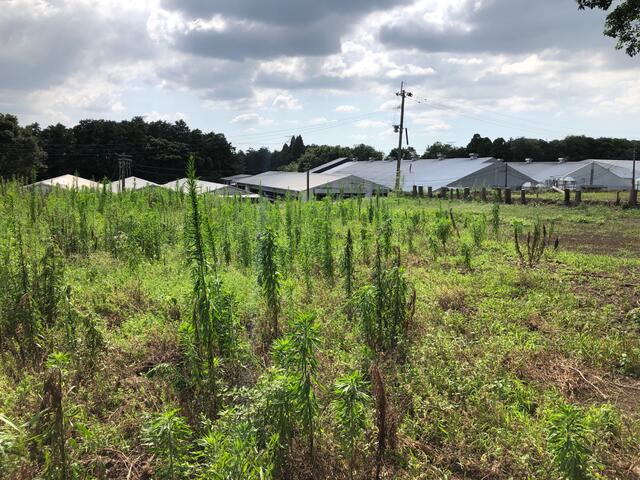 菊池郡大津町大字高尾野｜売地の写真6