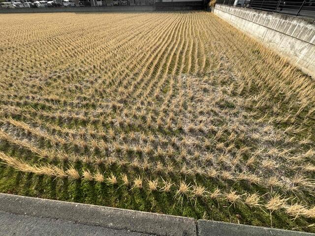 熊本市中央区出水6丁目｜売地の写真2