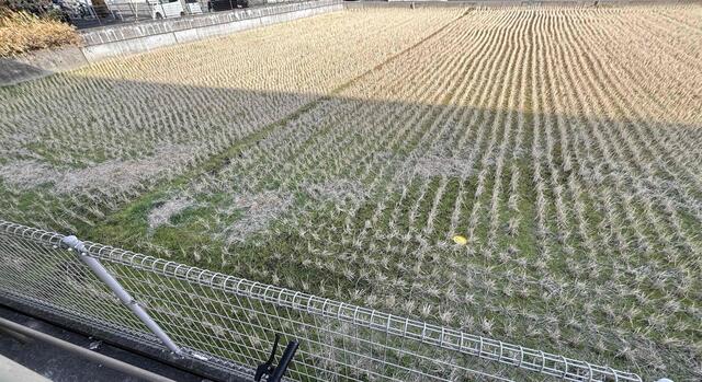 熊本市中央区出水6丁目｜売地の写真3