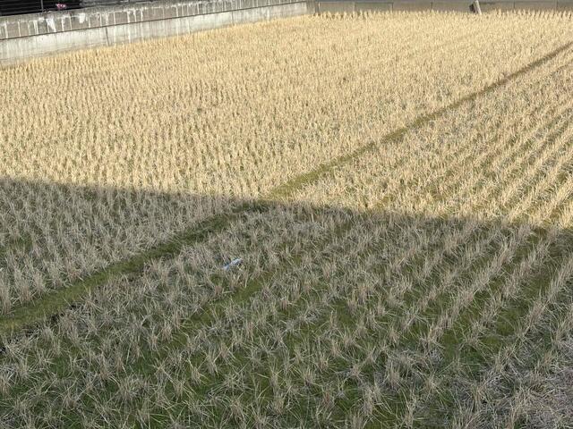 熊本市中央区出水6丁目｜売地の写真4