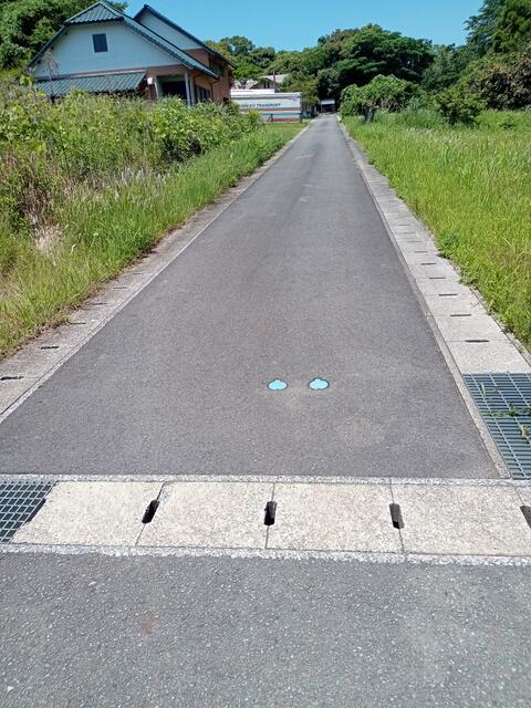 天草市新和町小宮地｜売地の写真8