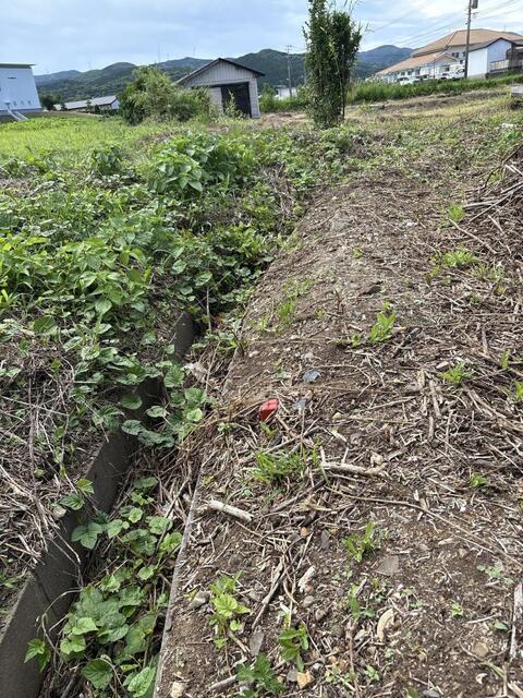 天草郡苓北町志岐｜売地の写真12