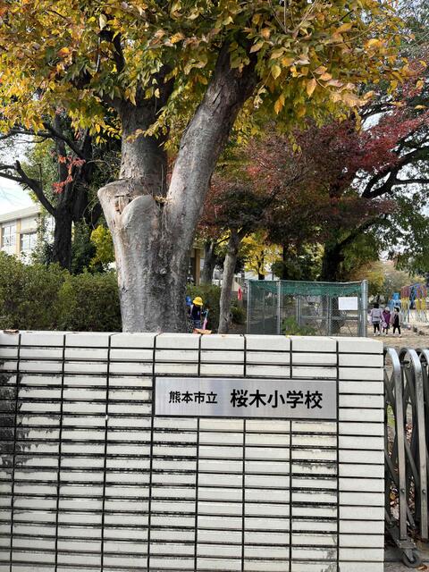 熊本市東区桜木3丁目｜売地の写真10
