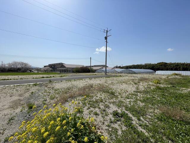 菊池市今の売地