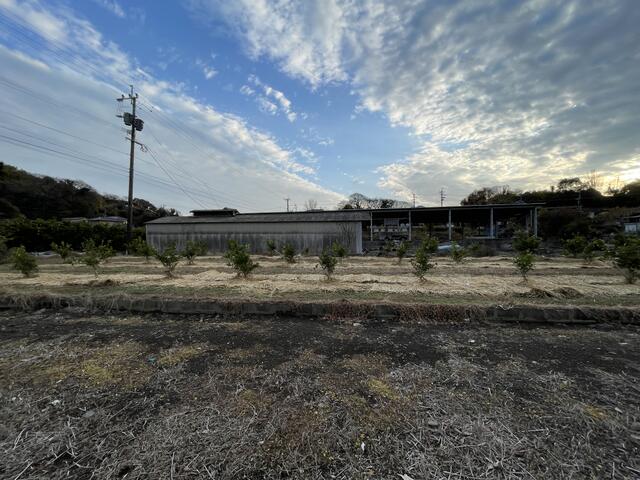 熊本市西区松尾町近津｜售地的照片4