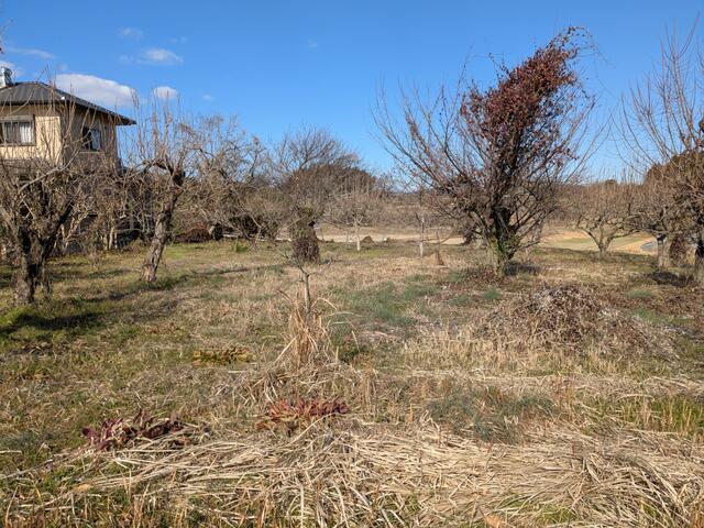 熊本市北区植木町大井の売地