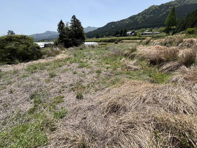 阿蘇郡南阿蘇村大字河陰|売地の写真2