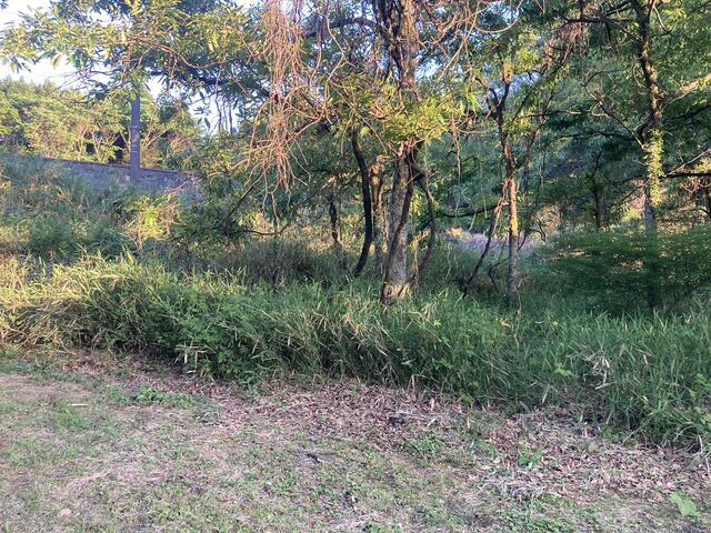 阿蘇郡南阿蘇村大字久石の売地