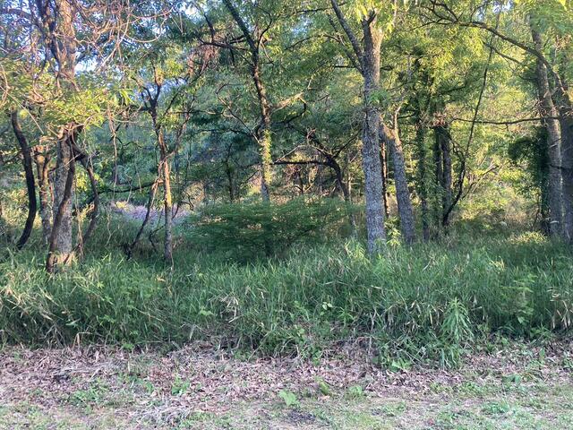 阿蘇郡南阿蘇村大字久石｜売地の写真4