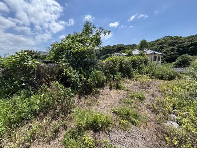 荒尾市下井手｜売地の写真4