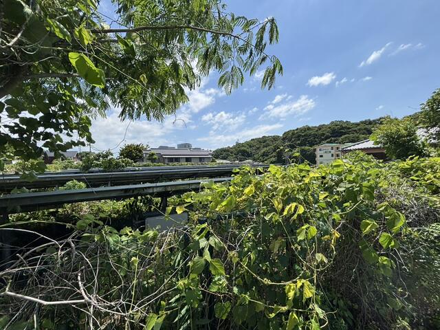 荒尾市下井手｜売地の写真3