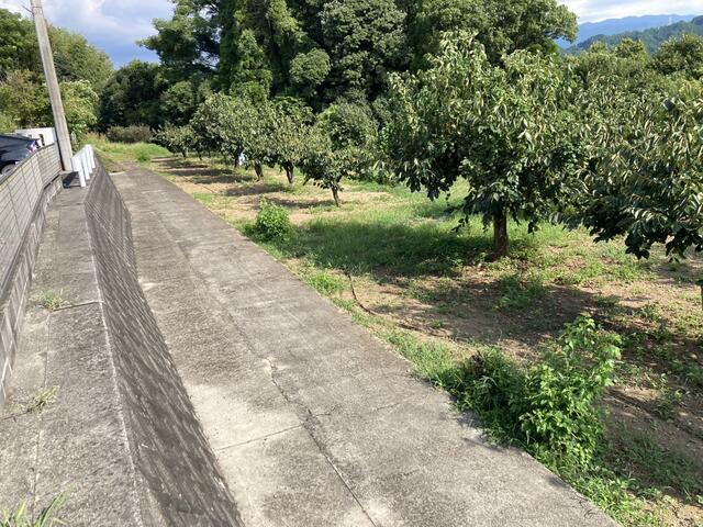下益城郡美里町馬場｜売地の写真1