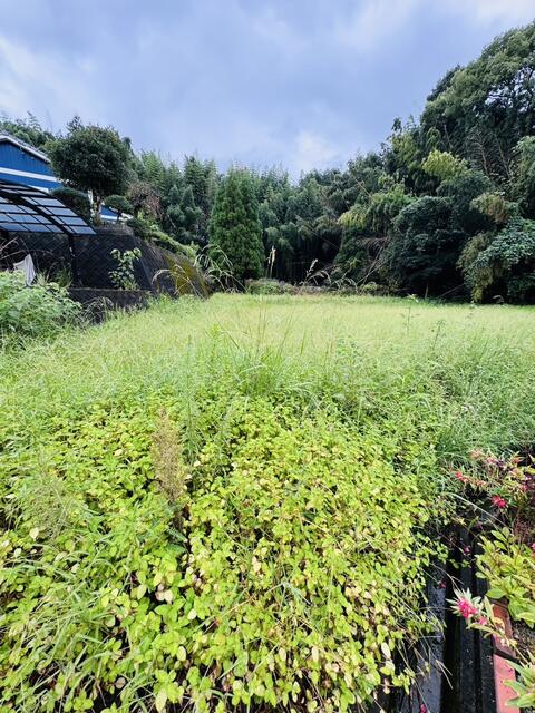 宇城市松橋町曲野の売地