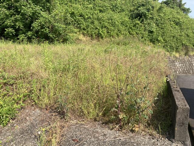 熊本市南区城南町鰐瀬｜売地の写真4