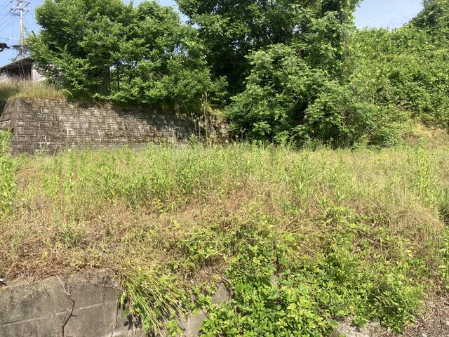熊本市南区城南町鰐瀬の売地