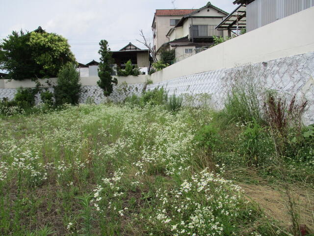 山鹿市山鹿｜売地の写真5